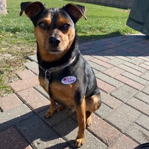 Meet your Posher, Cassie